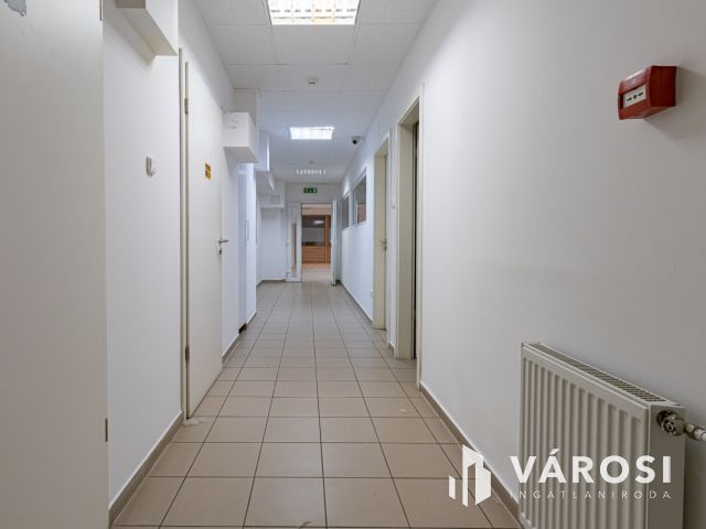 Kiadó utcai bejáratos iroda a Fűvészkertnél
