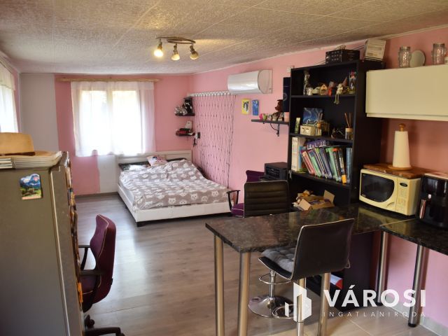 Belvárosi 2 generációs kertesház!