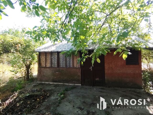 Zártkerti ingatlan eladó Dömsödön !